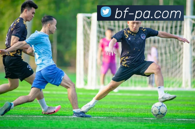 App Interface Preview