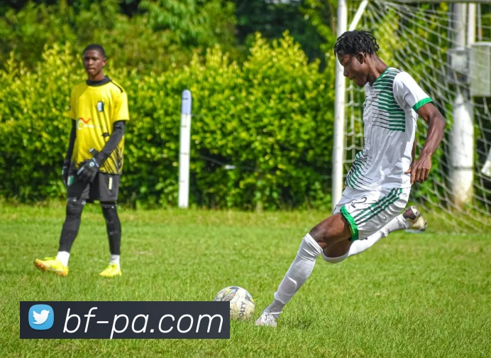 PA真人官网APP 封面图